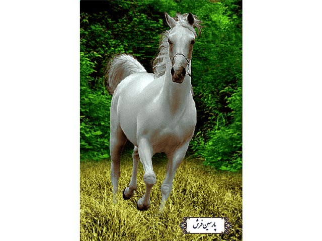 نخ و نقشه کامپیوتری تابلو فرش طرح اسب - کد NH3519