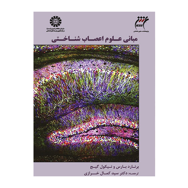مبانی علوم اعصاب شناختی