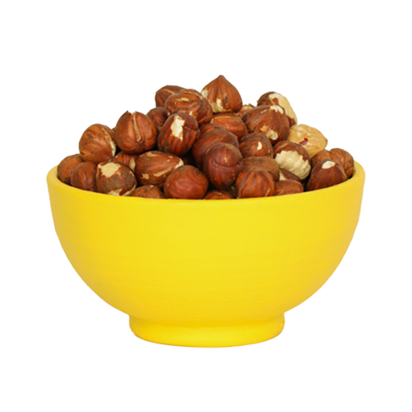 مغز فندق