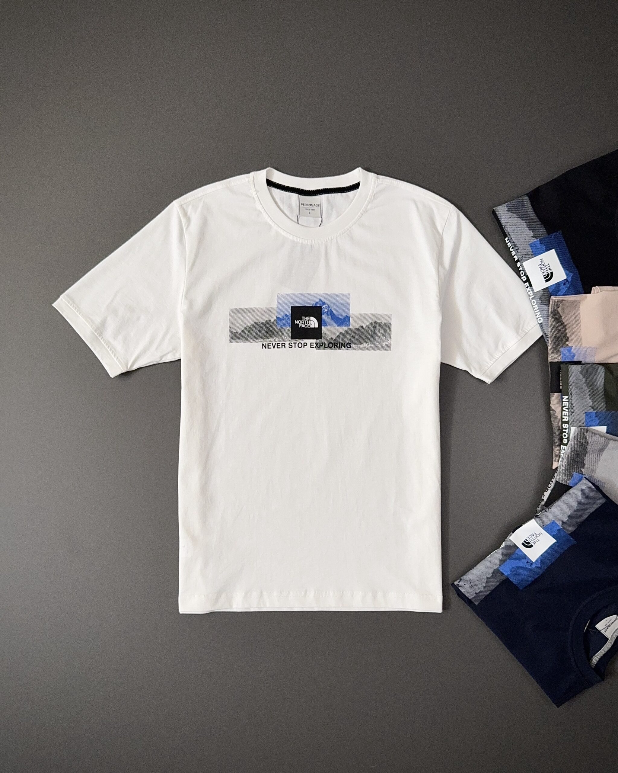 تیشرت مردانه نخ پنبه The North Face