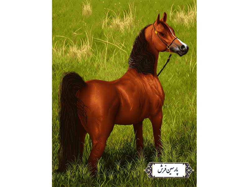 نخ و نقشه تابلو فرش طرح اسب قهوه ای - کد NH3584
