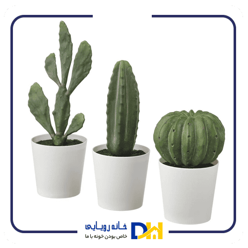 کاکتوس سه عددی ایکیا  FEJKA