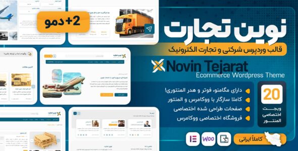 قالب چند منظوره نوین تجارت، پوسته حرفه‌ای