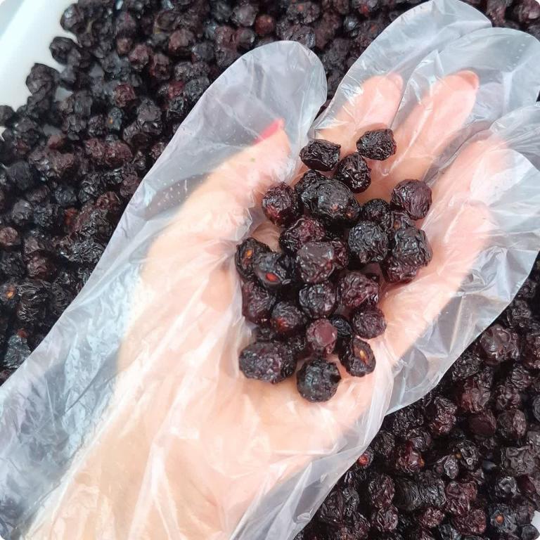 آلبالو خشکه ملس (500گرمی)