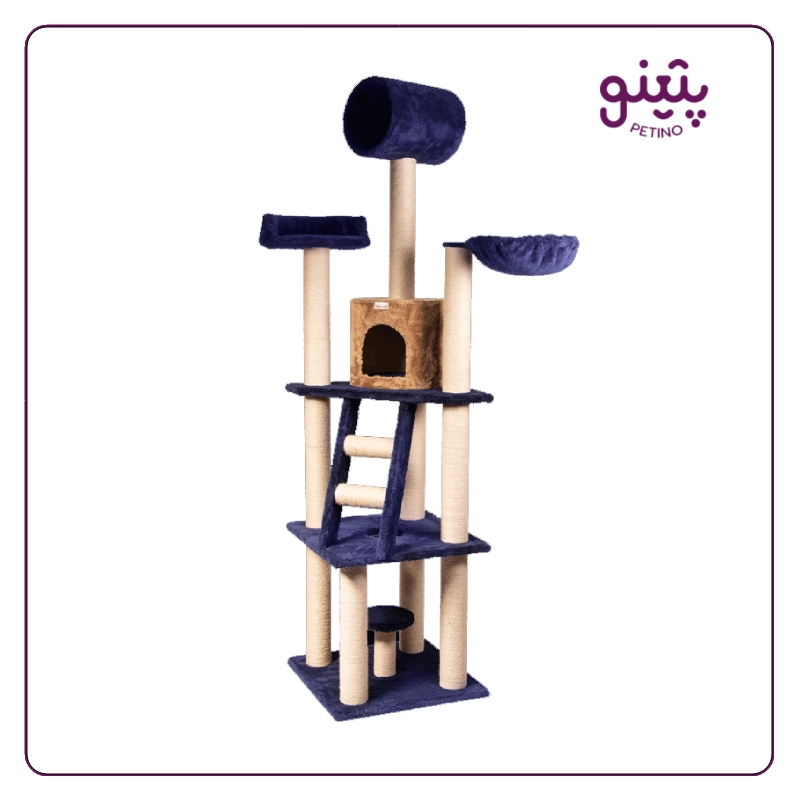 اسکرچر گربه کدیپک مدل بلوط