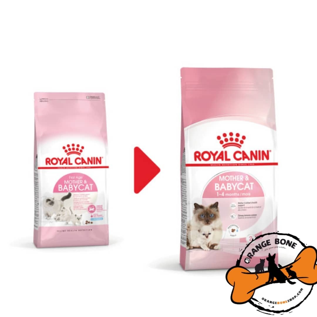 غذا خشک رویال کنین بچه گربه و مادر شیرده مدل Mother and babycat (2کیلو)