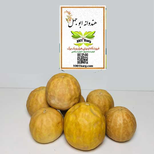 هندوانه ابوجهل - میوه حنظل (بسته 100گرمی)