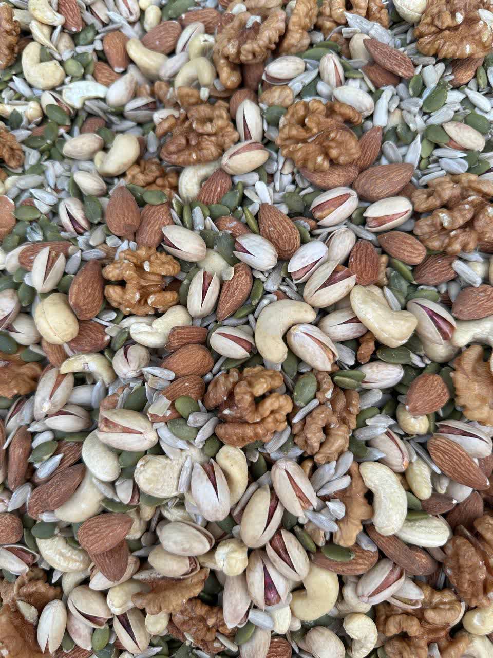 اجیل 6مغز