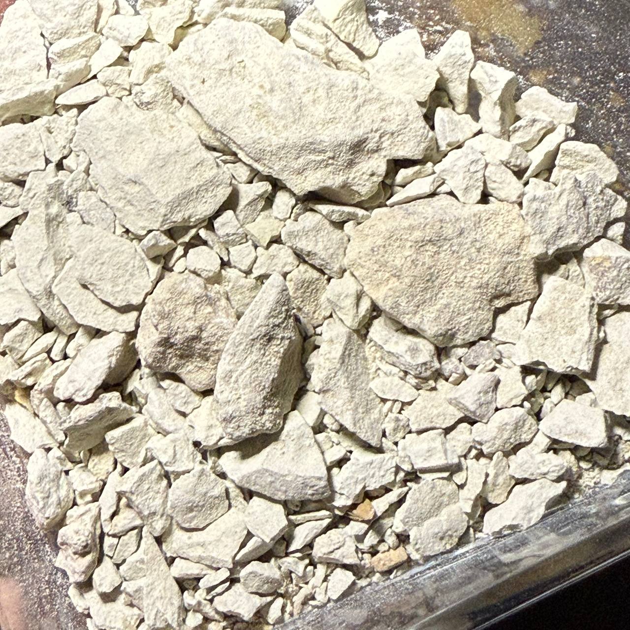 گل سرشور