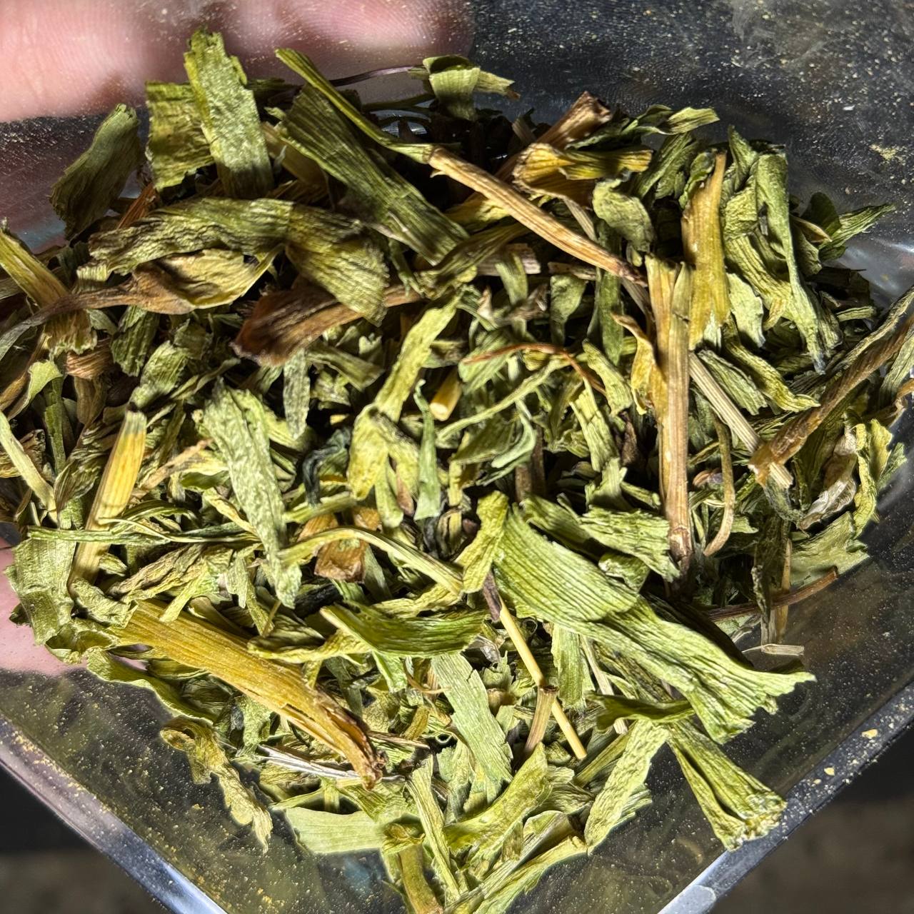 تره کوهی