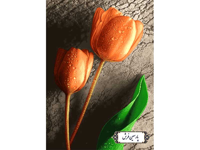نخ و نقشه تابلو فرش طرح گل نارنجی - کد NG1633