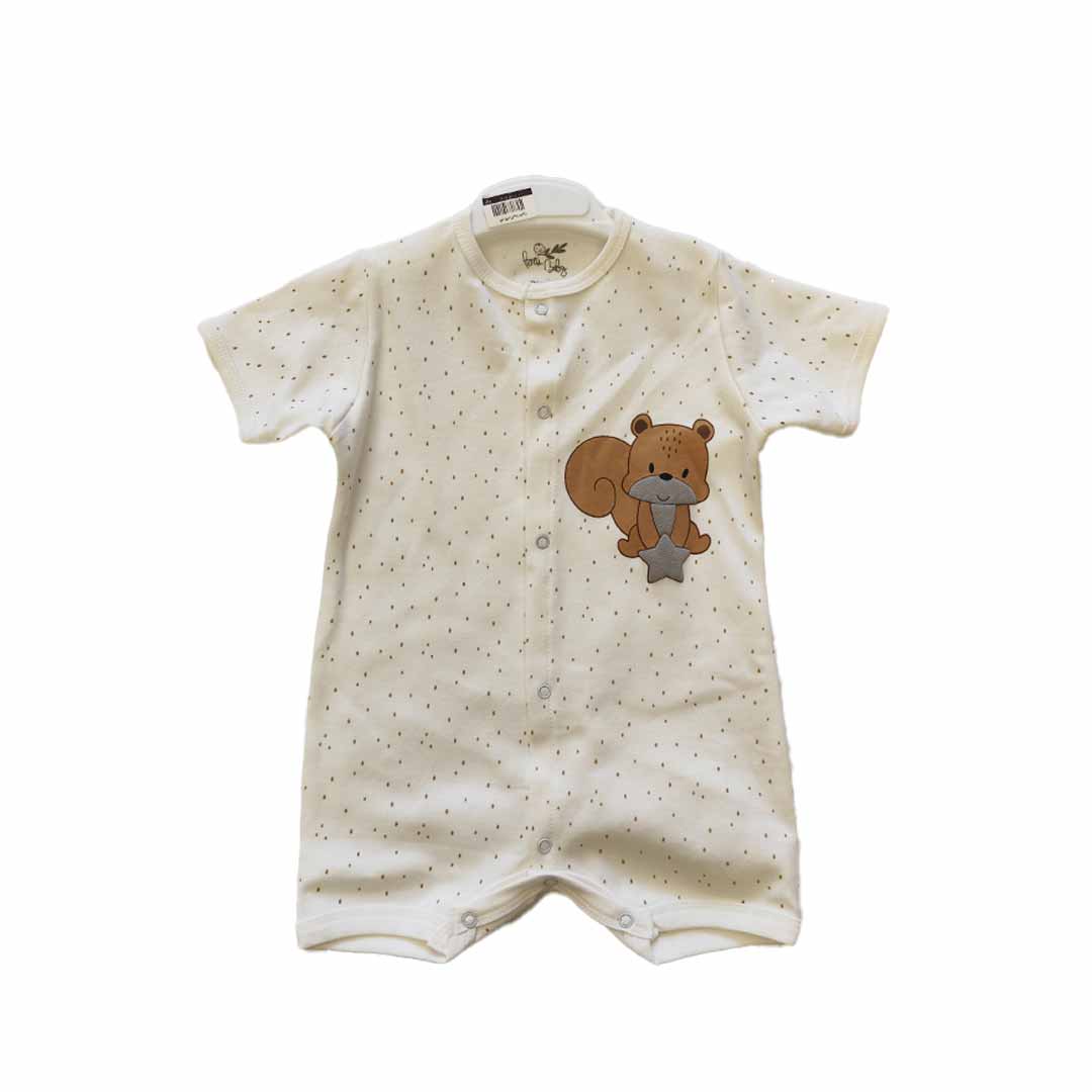 رامپر پنتی بی بی طرح سنجاب