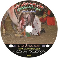 تعزیه حضرت علی اکبر ۱۳۷۵ قودجان خوانسار