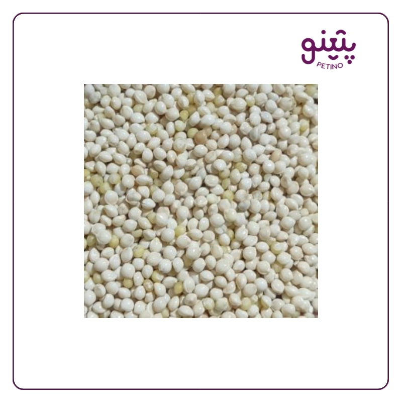 ارزن دانه درشت فله ای برای پرنده