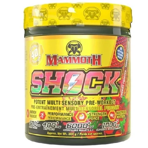 پمپ شوک ماموت 40 سروینگ Mammoth Shock