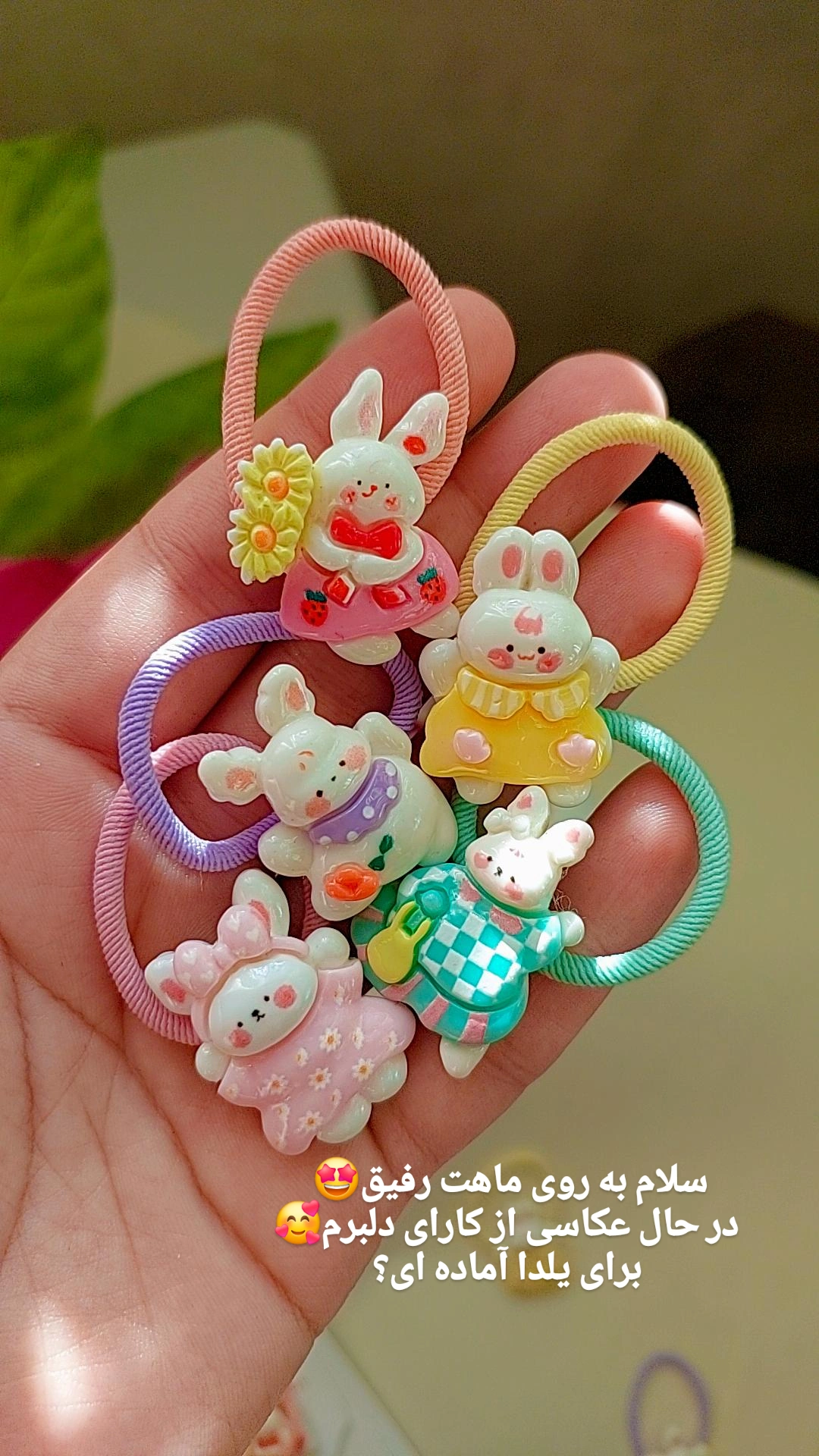 کشمو جفتی خرگوشی🐇