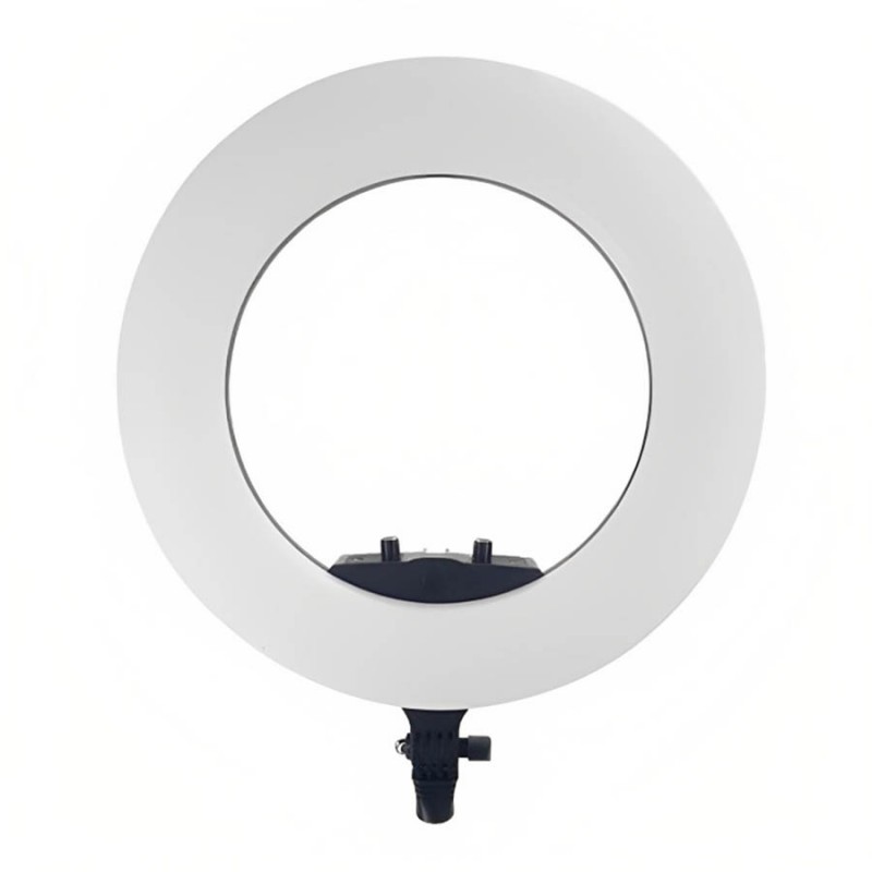 رینگ لایت وستکات Westcott FE 480IIIA