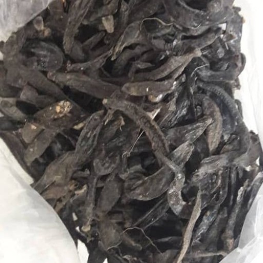 زالو خشک شده (بسته 50 گرمی)