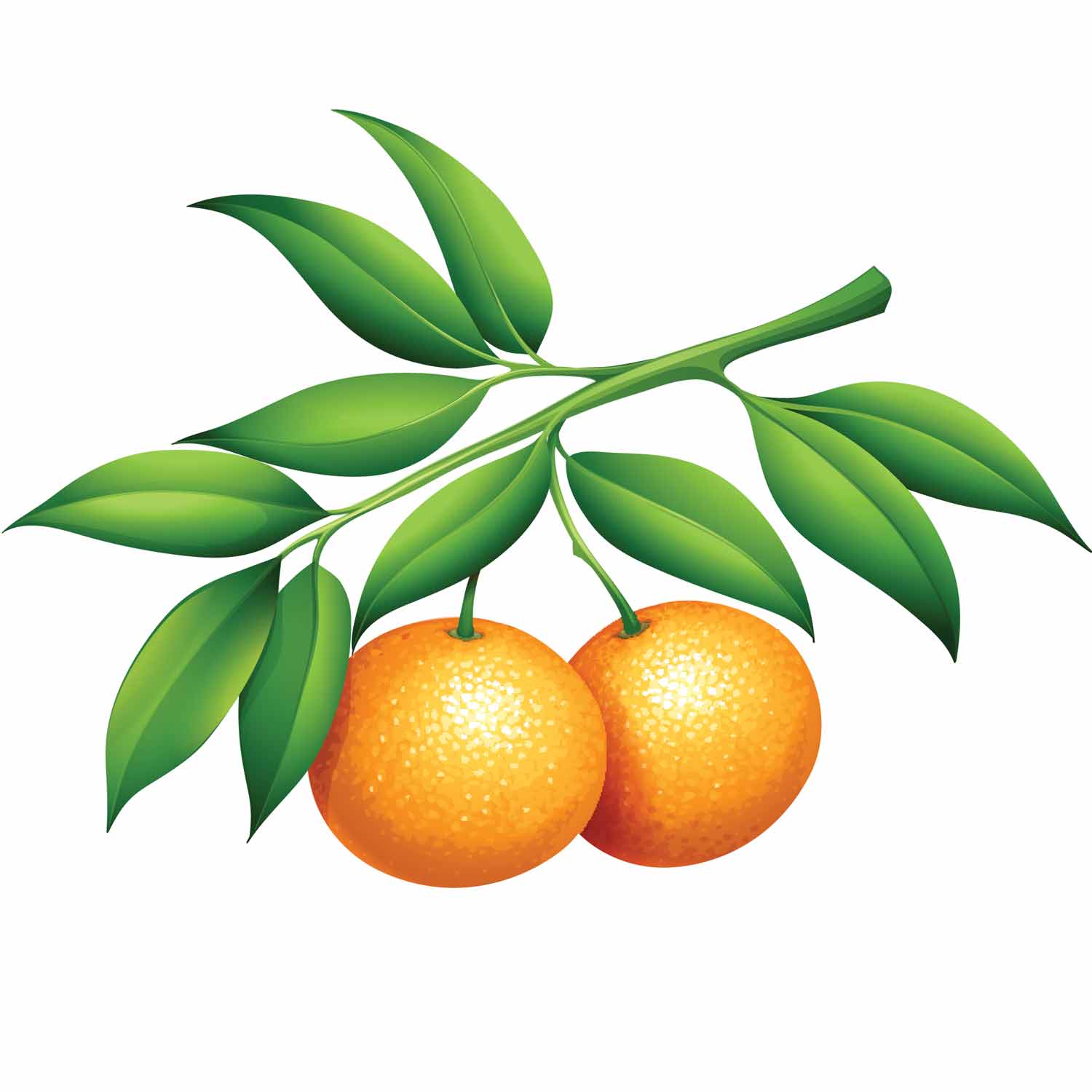 برچسب حرارتی مدل T04