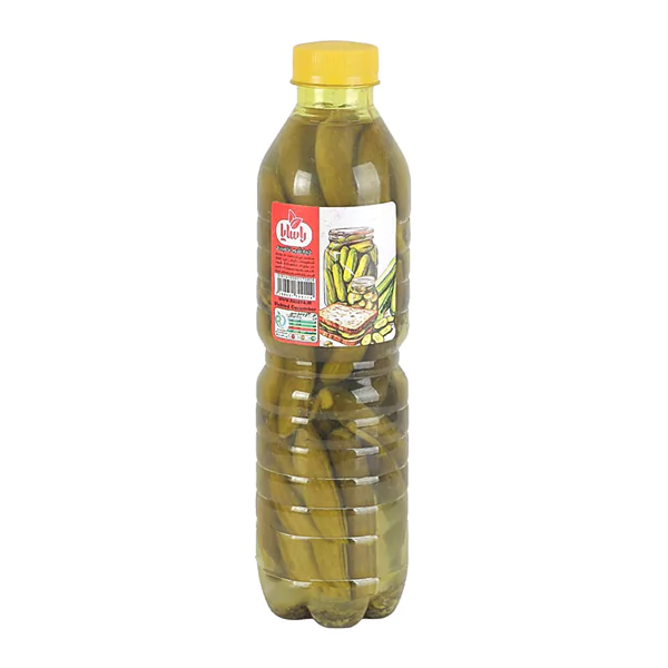 خیارشور بطری شل 6 عددی