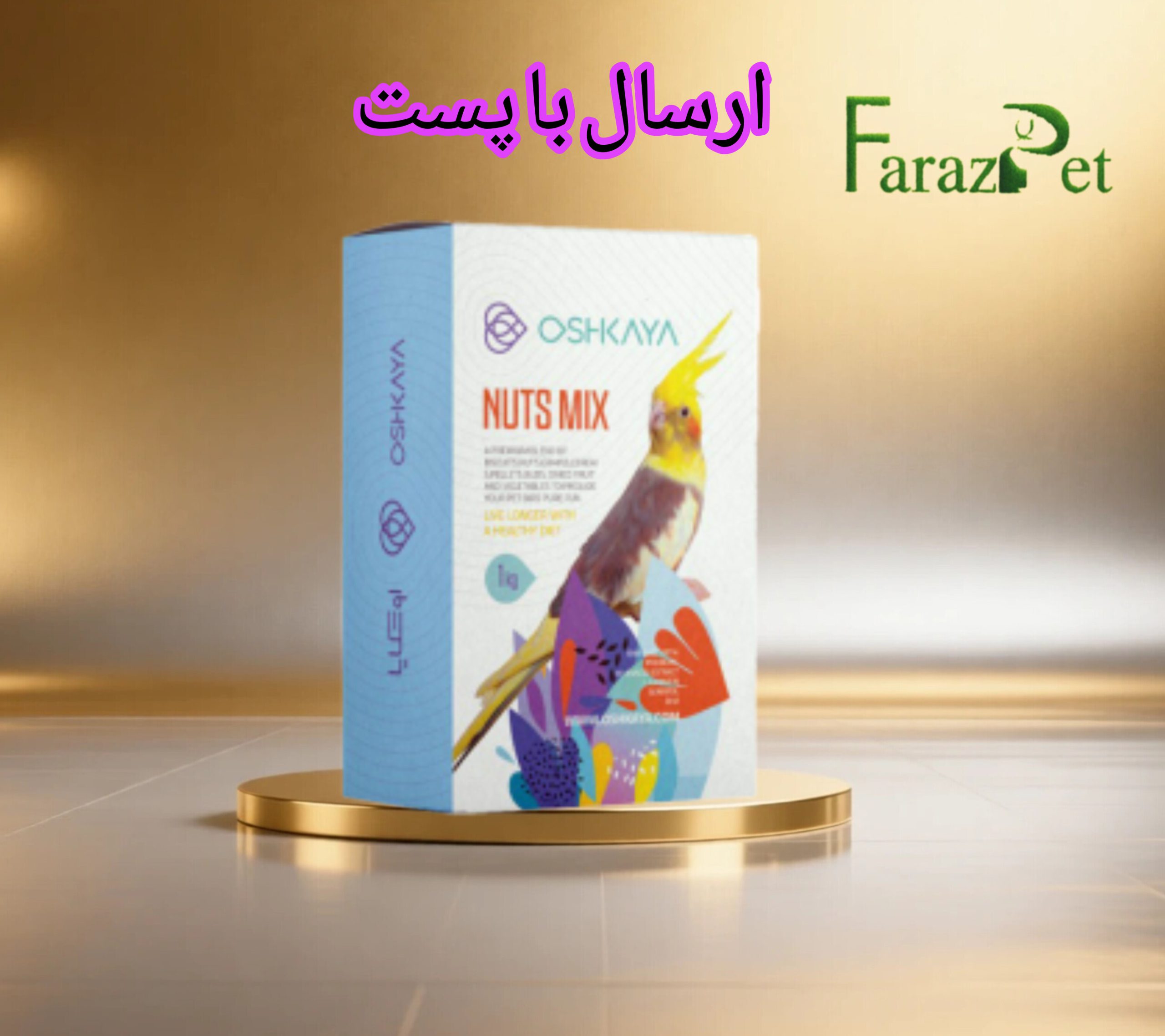 دان عروس هلندی اوشکایا