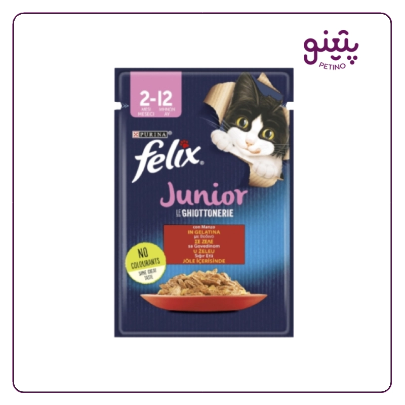 پوچ بچه گربه فلیکس با طعم گوشت