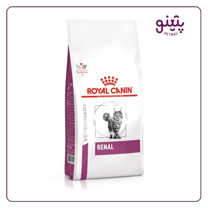غذای خشک گربه رنال رویال کنین
