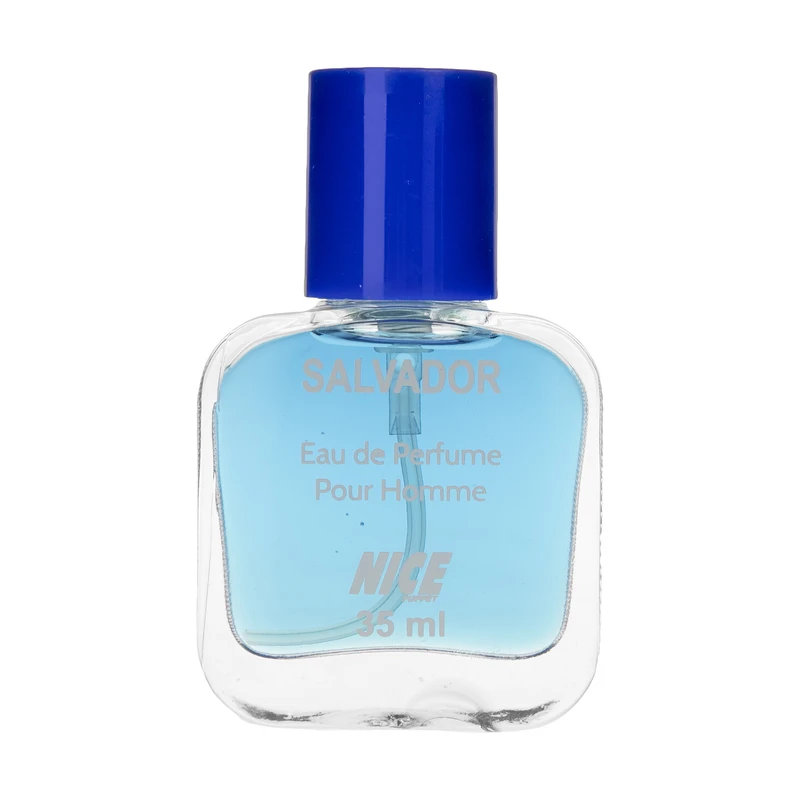 عطر جیبی نایس پاپت مدل سالوادور 35 میل
