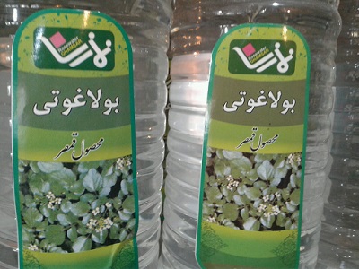 عرق بولاغوتی نمازی