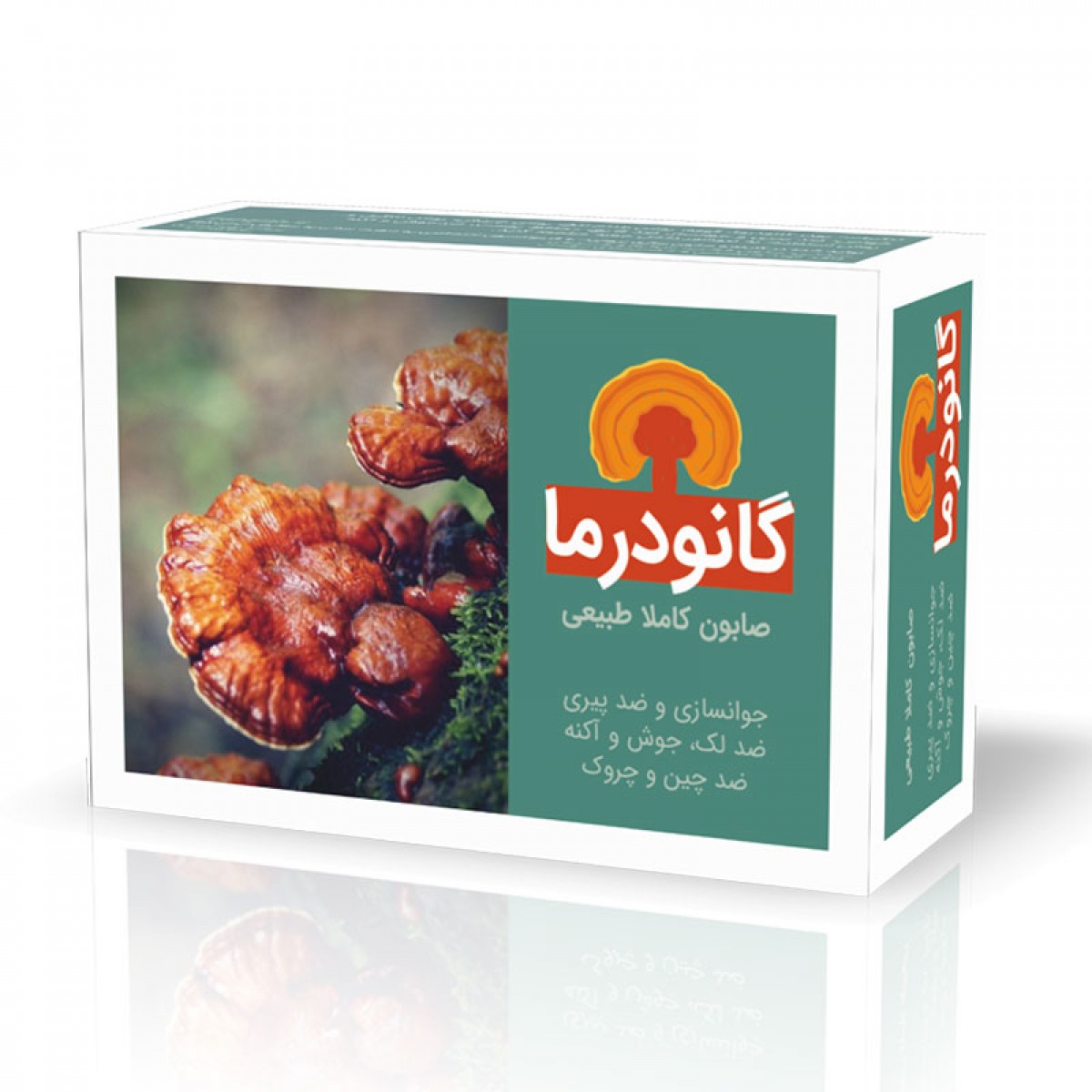 صابون گانودرما ایران گیاه