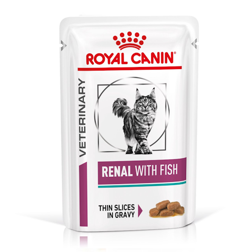 پوچ گربه رویال کنین مدل Renal with Fish وزن 85 گرم