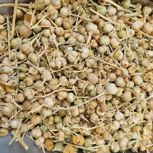 اسفند نخودی