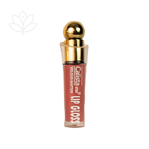 رژلب مایع 24 ساعت کالیستا مدل Gloss Lip شماره 01
