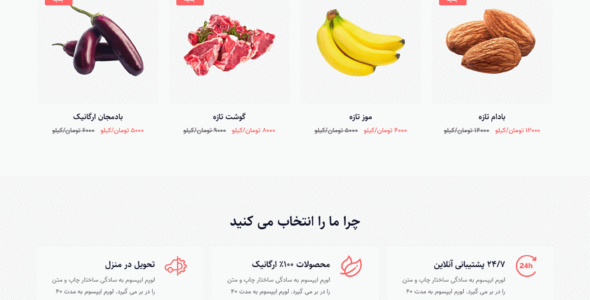 قالب Hilo، قالب HTML فروشگاهی هیلو