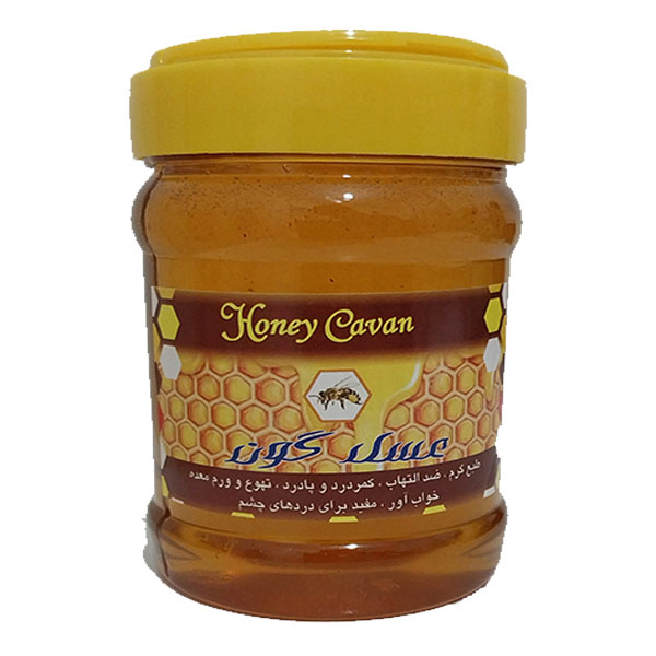عسل طبیعی نیم کیلویی گون ( دامغان )