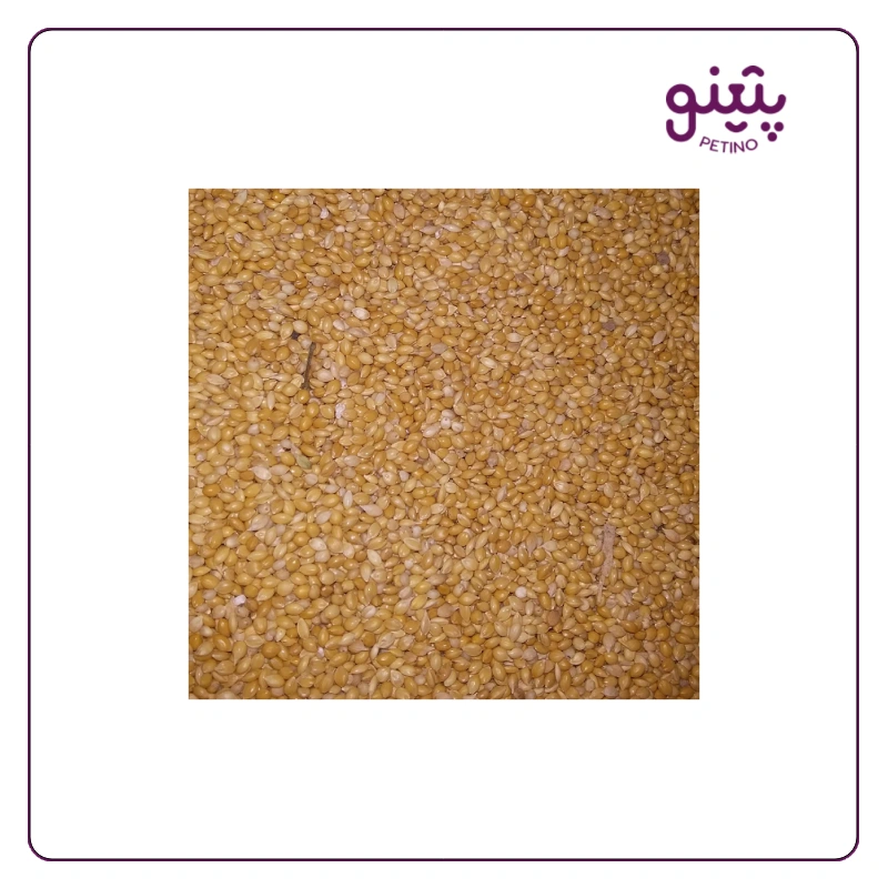ارزن دانه ریز فله ای برای پرنده