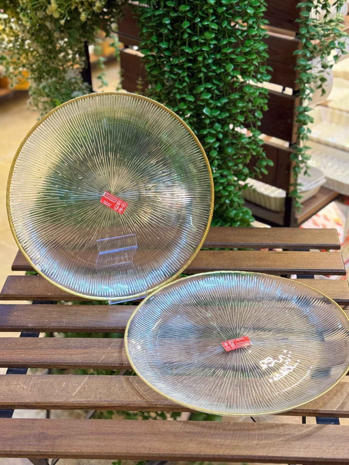 دیس گرد سولو