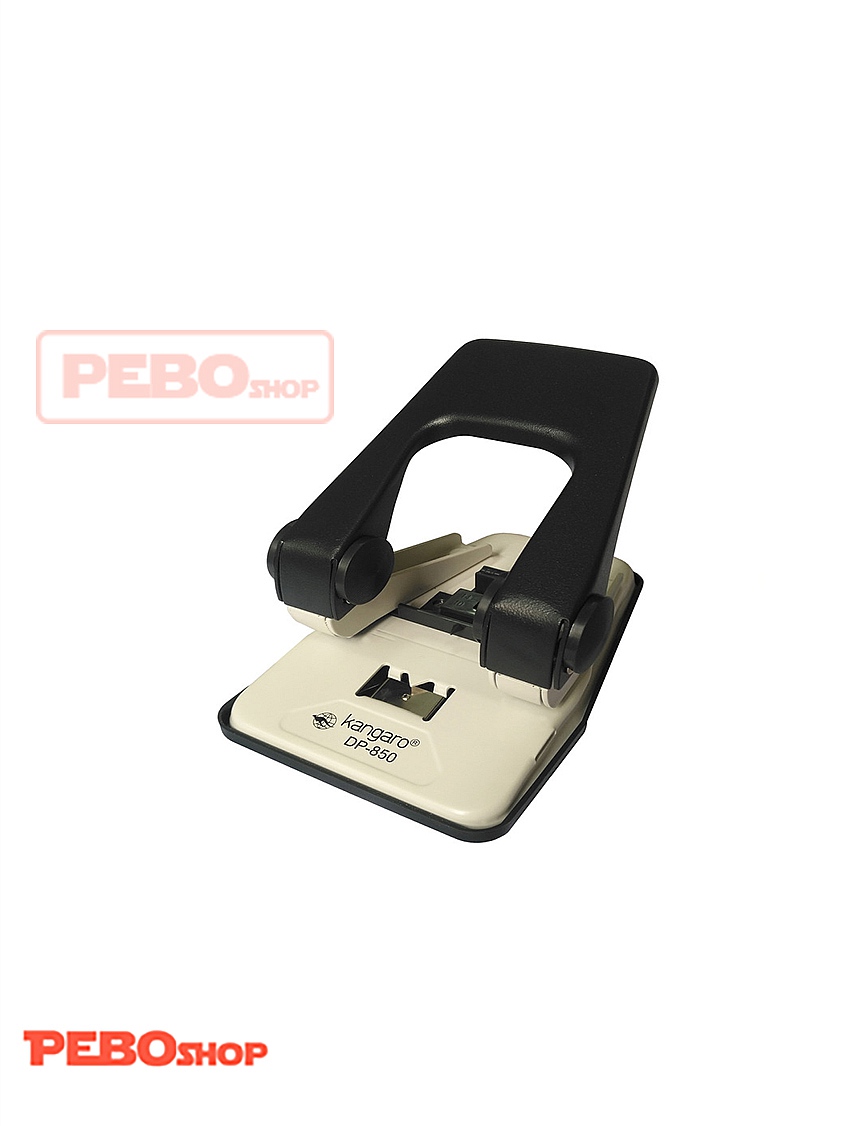 پانچ DP-850