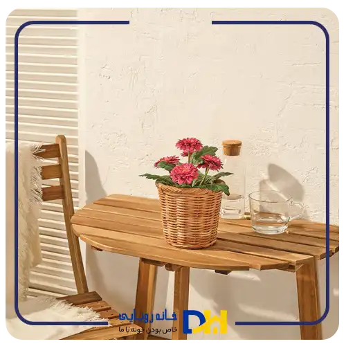 بوته گل داوودی ایکیا FEJKA