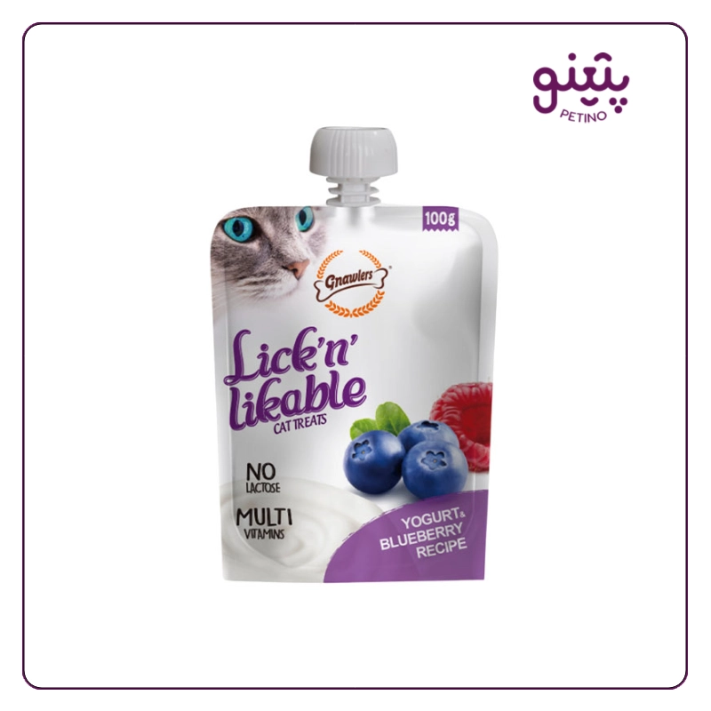 پودینگ گربه گناولرز با طعم ماست و بلوبری