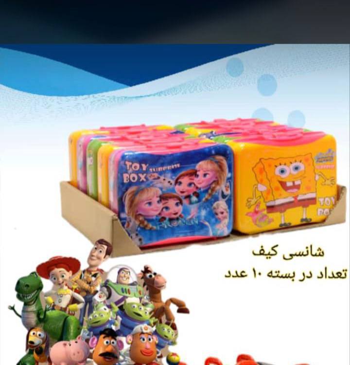 شانسی کیف سامسونت