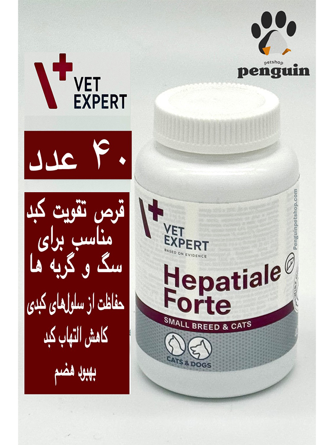 قرص هپاتیال فورته وت اکسپرت سگ و گربه Hepatiale Forte بسته 40 عددی