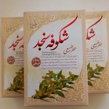 عطر شکوفه سنجد مرهم طبیب