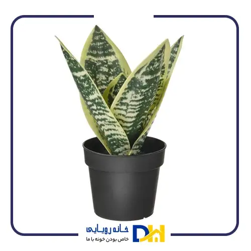 گلدان مصنوعی سانسوریا ایکیا FEJKA