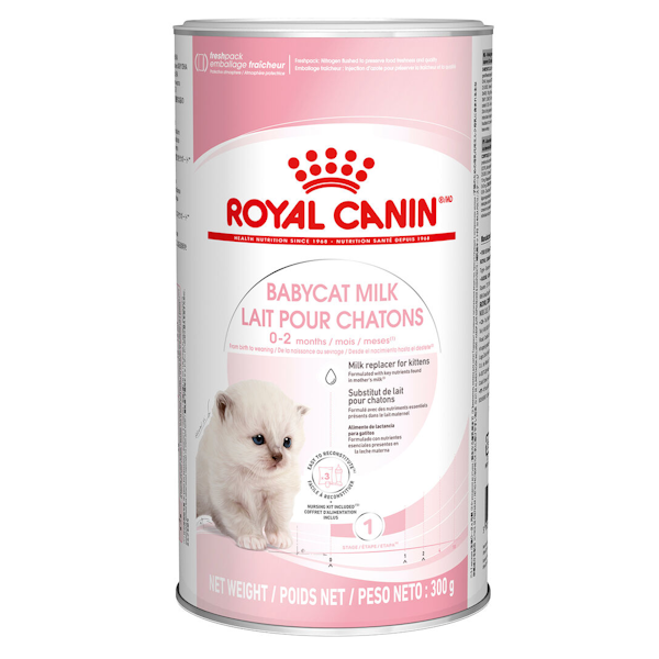 شیر خشک اورجینال بچه گربه رویال کنین Royal Canin Baby Milk وزن 300 گرم