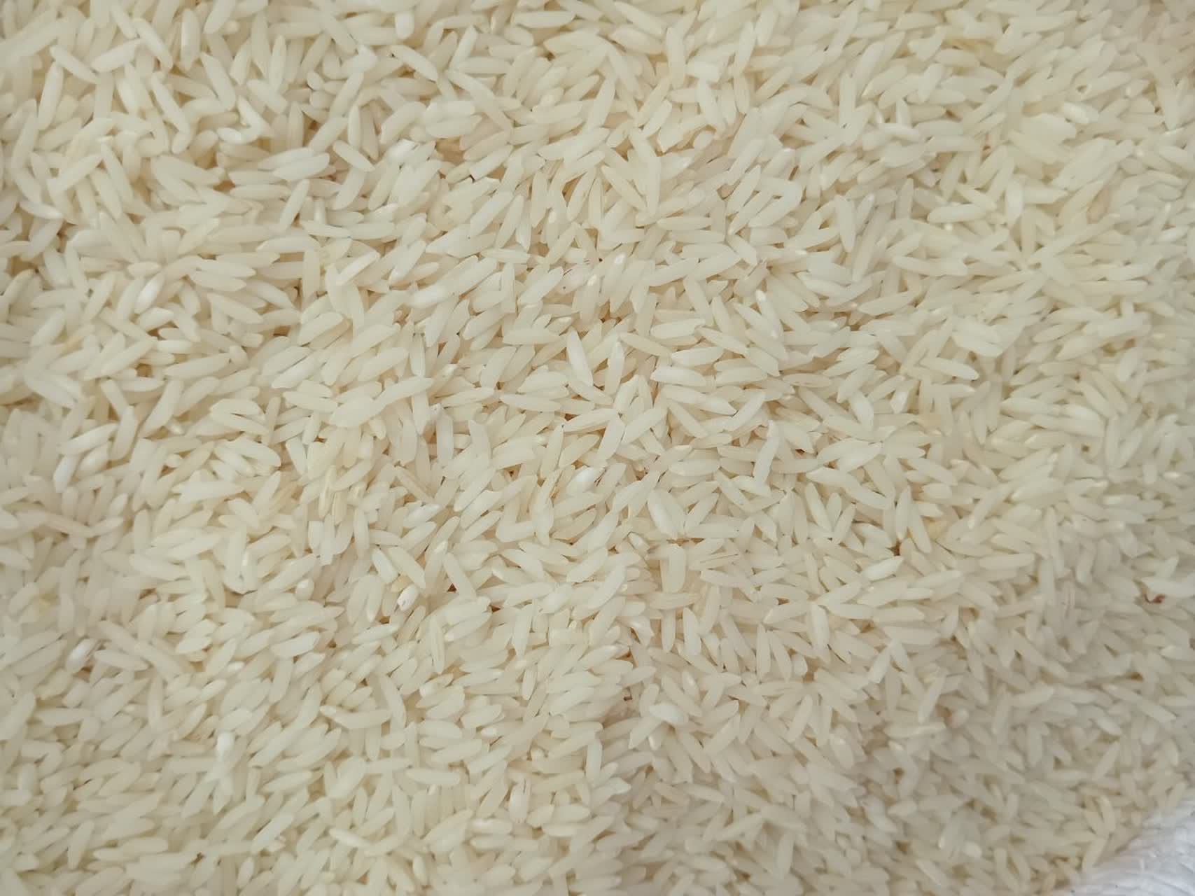 برنج دوالکه هاشمی خوش عطر و تازه ۱۴۰۴ | پنج کیلو
