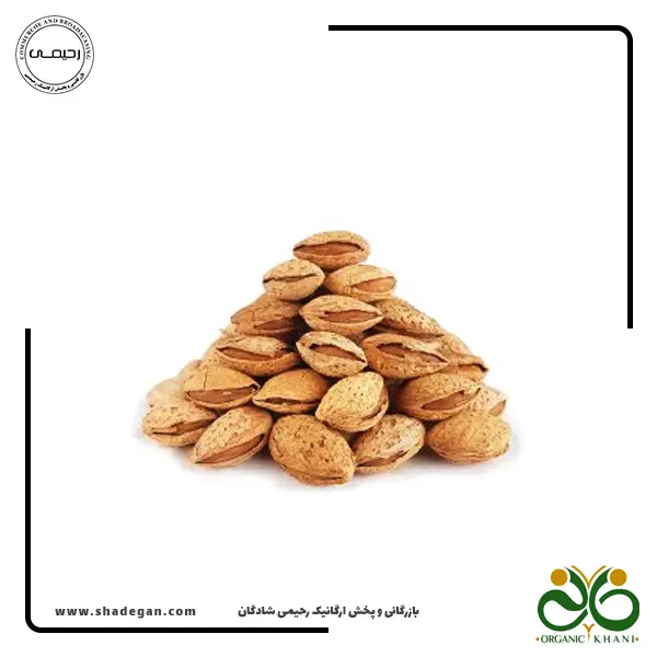 بادام درختی کاغذی خام