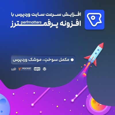 افزونه Perfmatters، خرید افزونه افزایش سرعت پرفمترز برای وردپرس