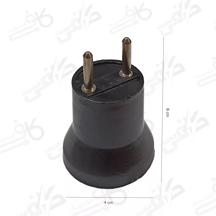 سرپیچ دوشاخه دار