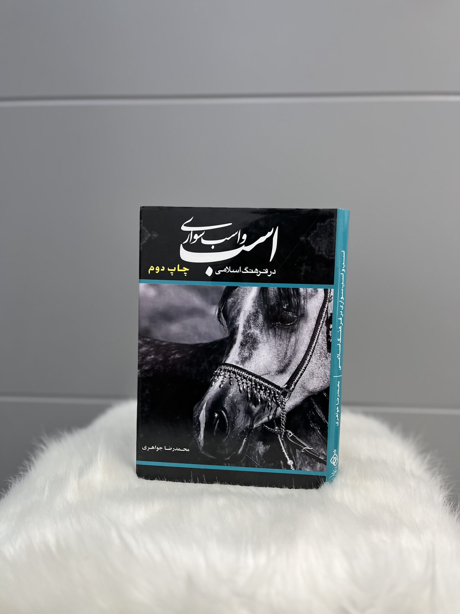 کتاب اسب و اسب سواری در فرهنگ اسلامی